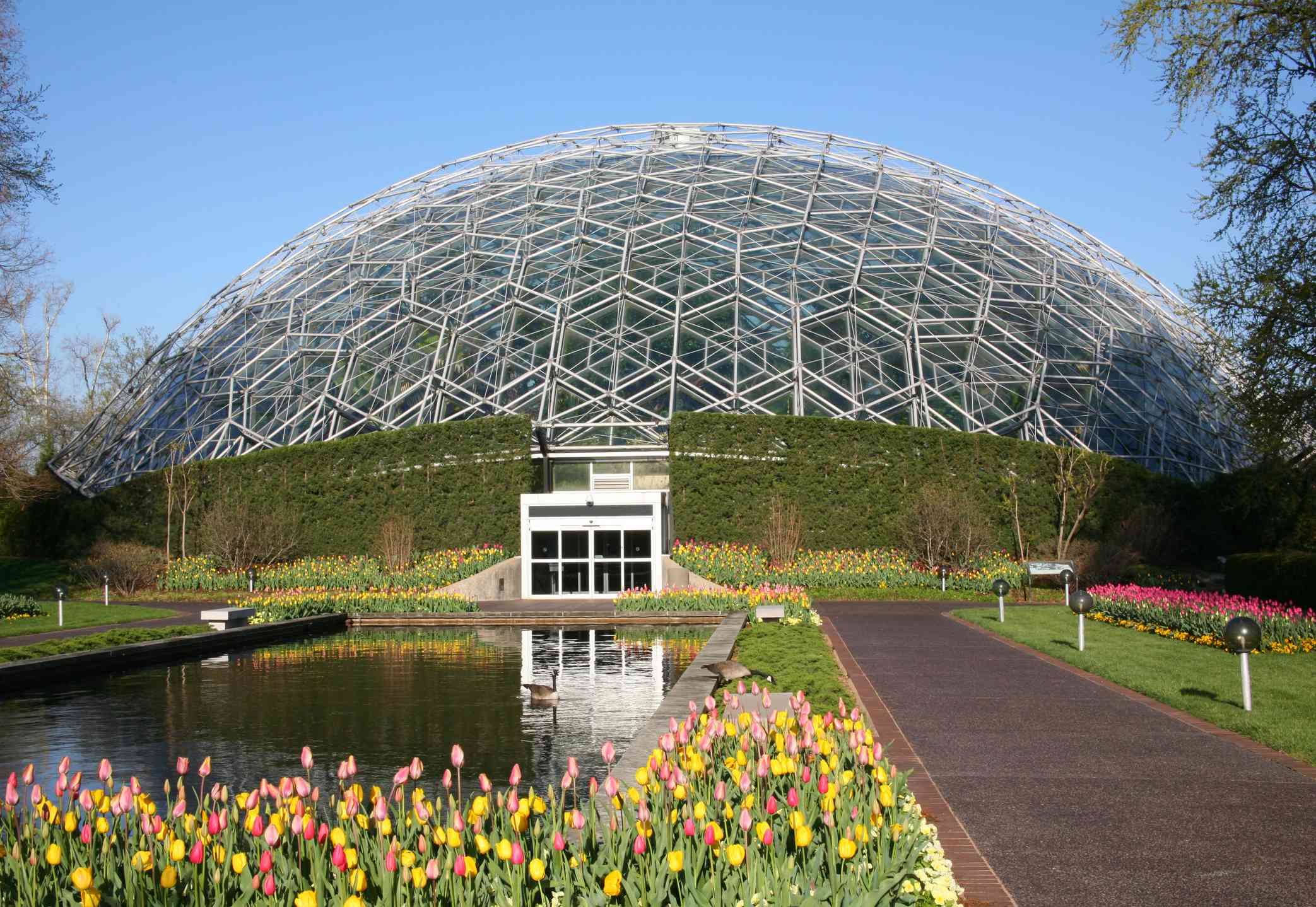 密苏里植物园圆顶结构。