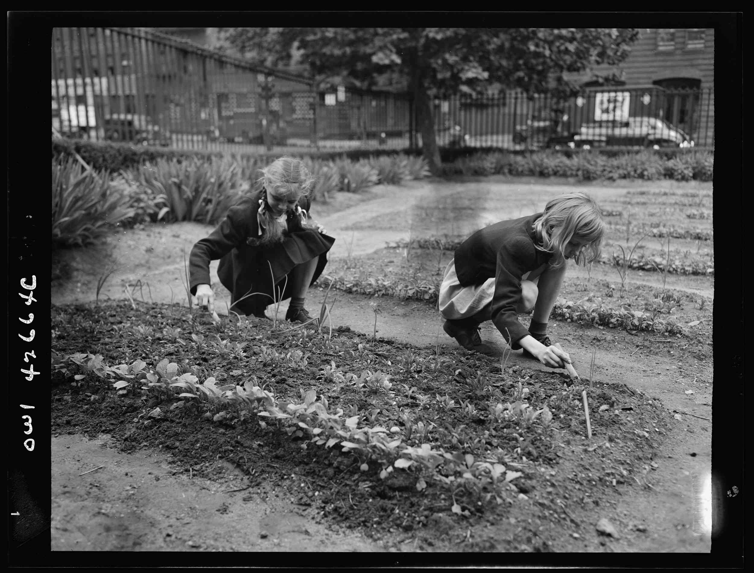 两个女孩在纽约的一个花园工作