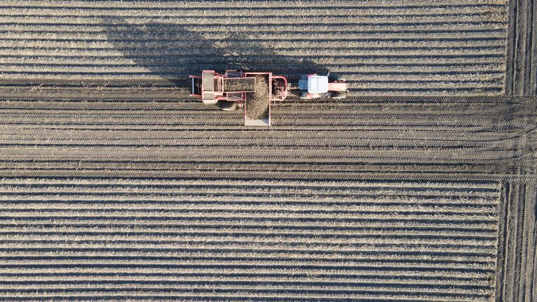 从上往下俯瞰，一个农民正在收获土豆。他为此使用了大型农业设备。