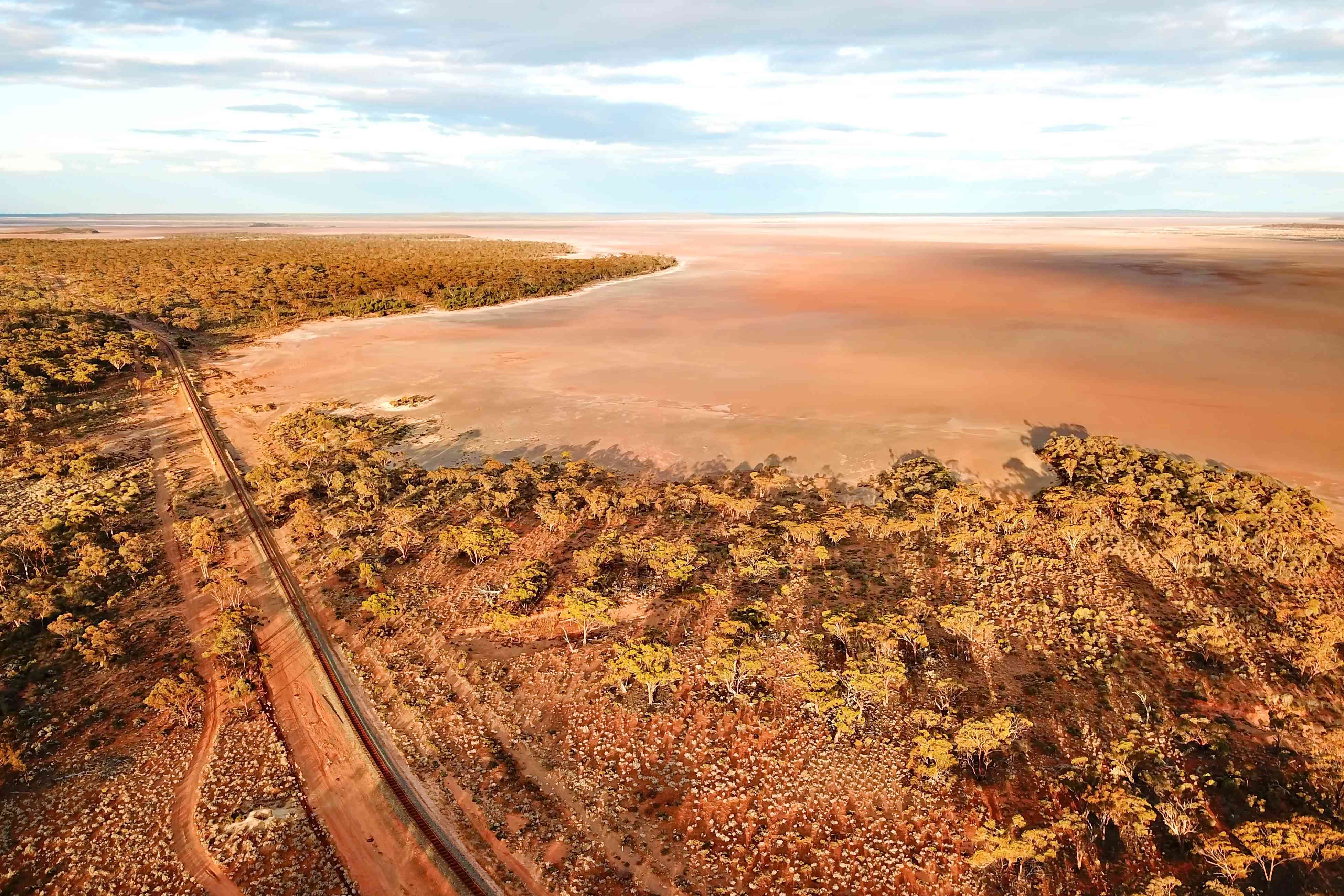 印度洋太平洋铁路横贯澳大利亚大草原和灌木丛