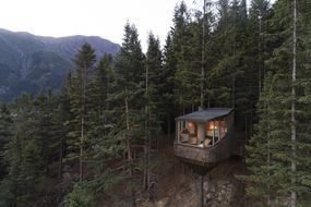 Woodnest Treehouse小屋由海伦＆硬建筑师外观