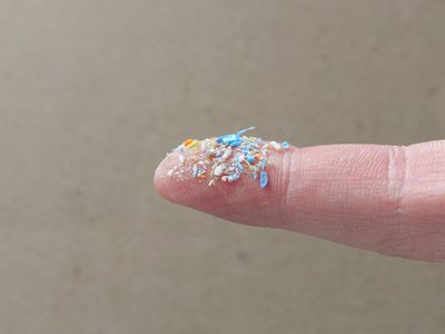 人体手指上微塑料的侧面特写镜头。