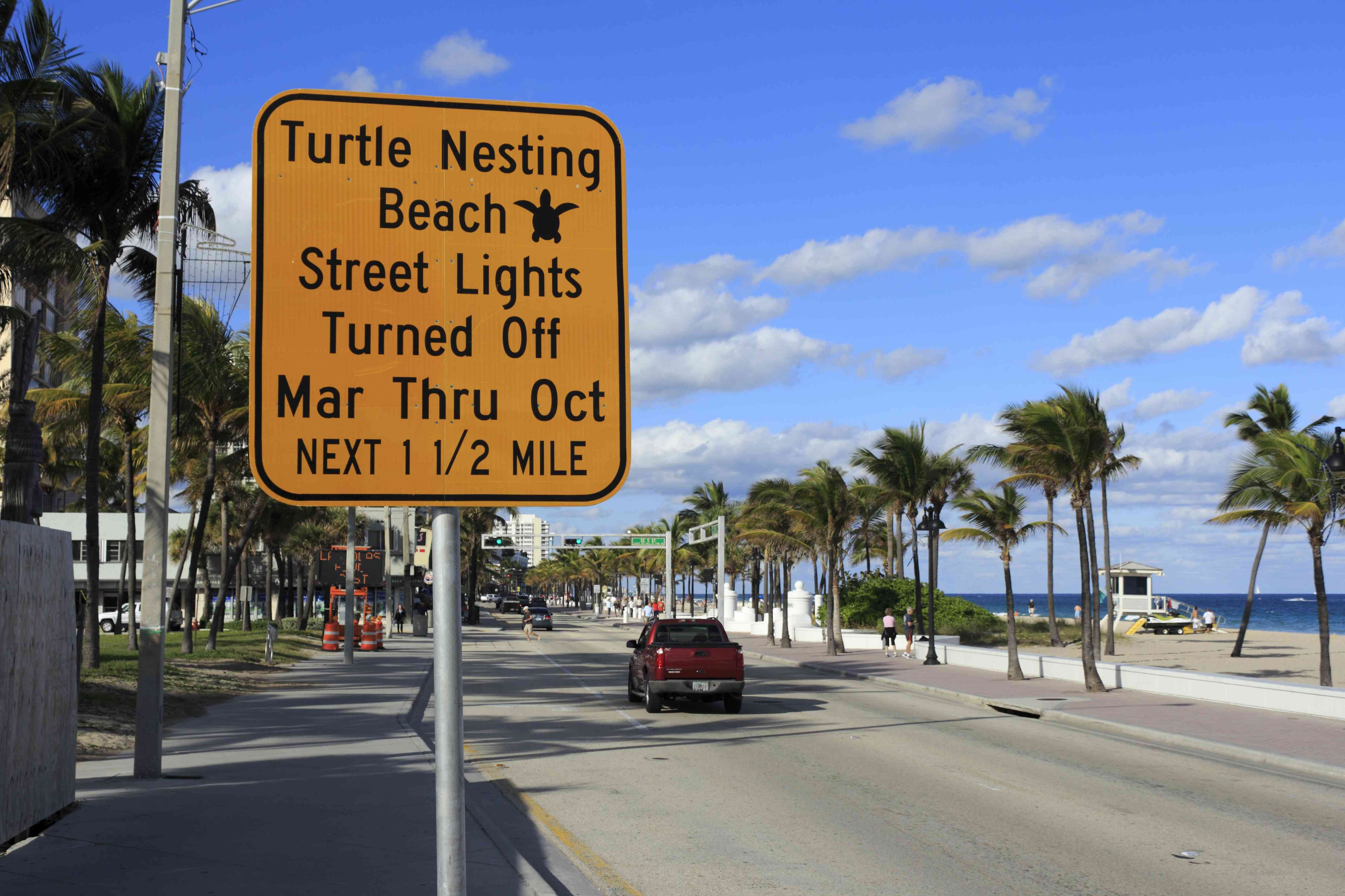 海龟警告标志