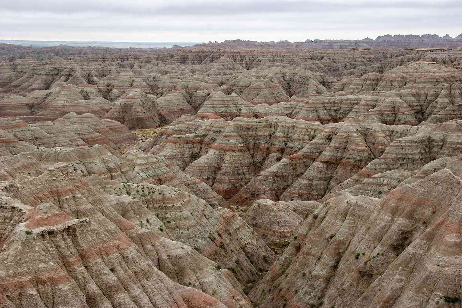 美国的布莱克山由多种颜色的岩层组成，有各种深浅不一的橙色和棕色＂width=