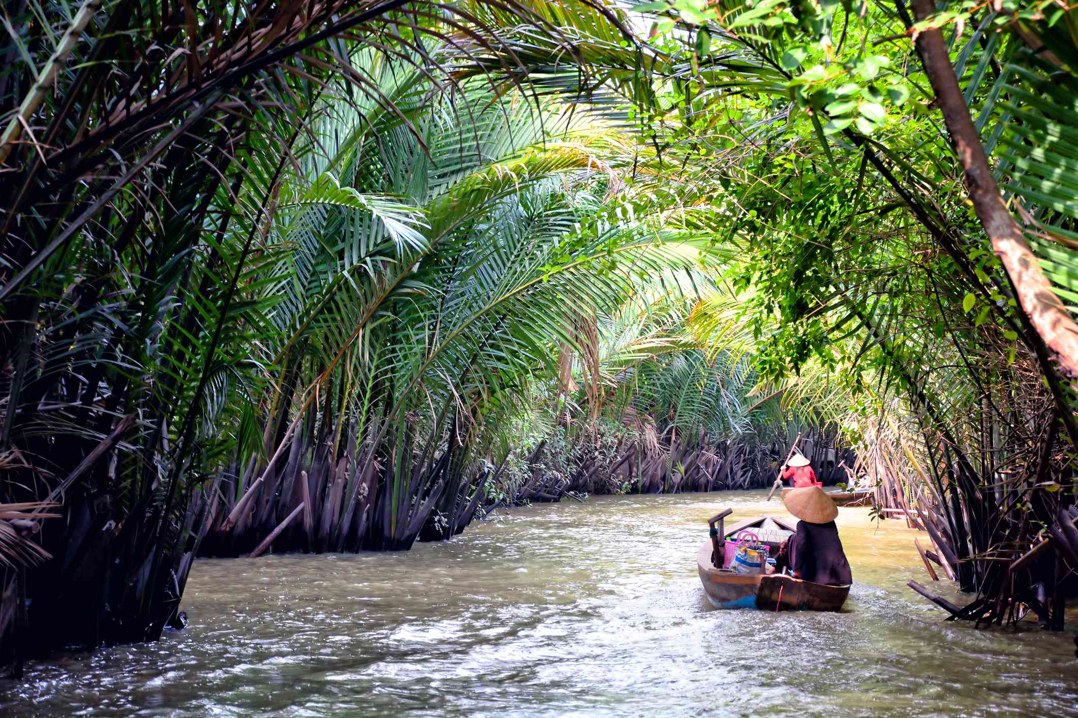 一条木小船在湄公河三角洲，越南