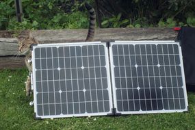 便携式太阳能电池板坐在草地上，一只猫在角落里摩擦