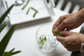 用手将芦荟胶从植物中挤出，用冰敷在玻璃杯中，用于眼部护理“width=