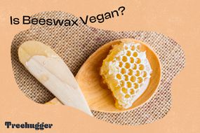 是beeswax素食木勺用新鲜的蜂窝渗透“width=