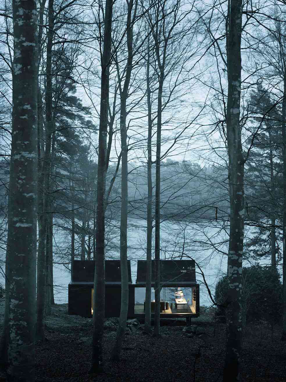 遥远的视图VIPP住所在森林里的一个晚上湖