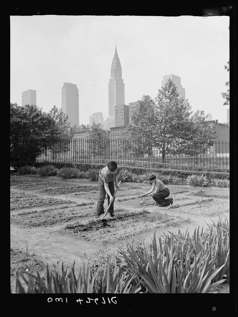 孩子们在花园里工作，身后可以看到纽约市的天际线