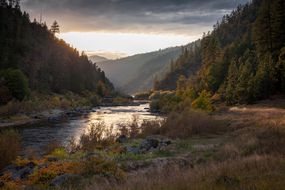 河河景观反对天空的树下，在日落，Rogue河，俄勒冈，美国，美国，美国