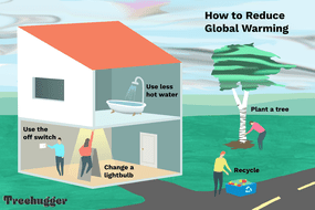 说明你可以在家里做些什么来减少全球变暖，比如种树和回收利用
