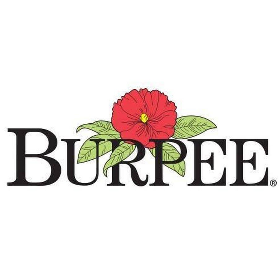 之一Burpee的标志
