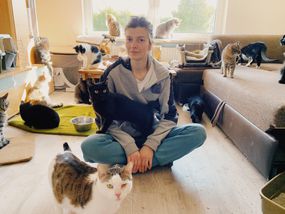 Evgeniya Drach与乌克兰营救的猫“width=