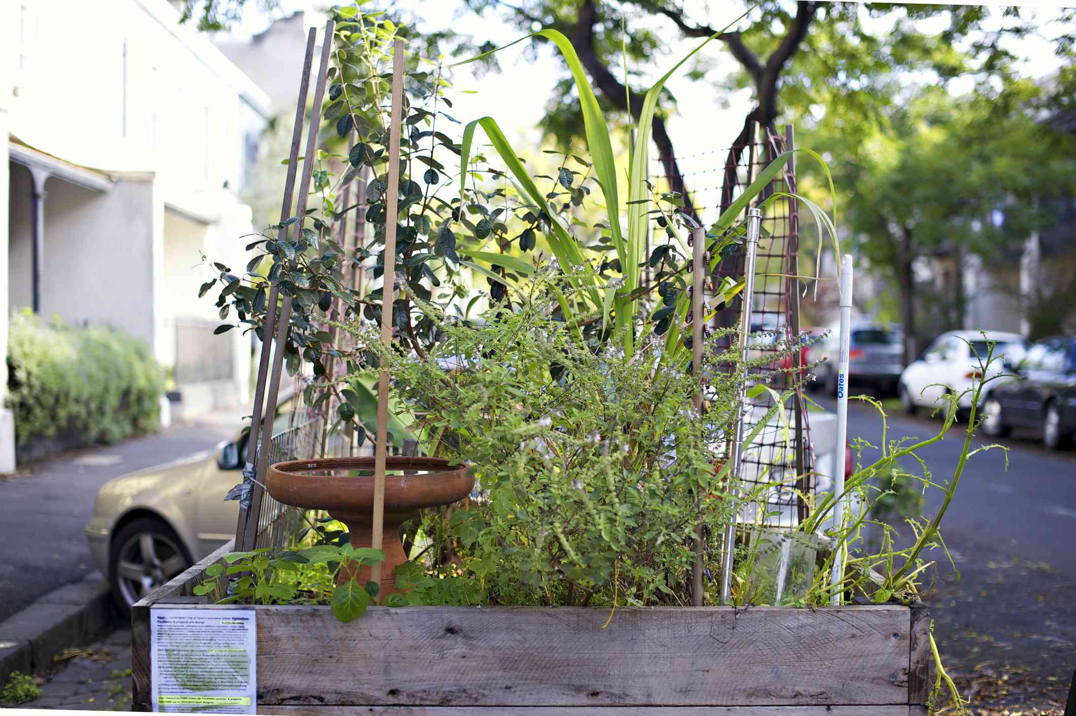 墨尔本菲茨罗伊居民街道种植箱中的可食用社区花园，由当地居民维护。＂width=