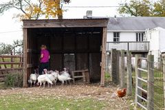 女子饲料小组在农场的木棚中