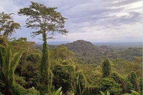 俯瞰玛雅黄金景观的雨林和伯利兹南部的山脉＂width=