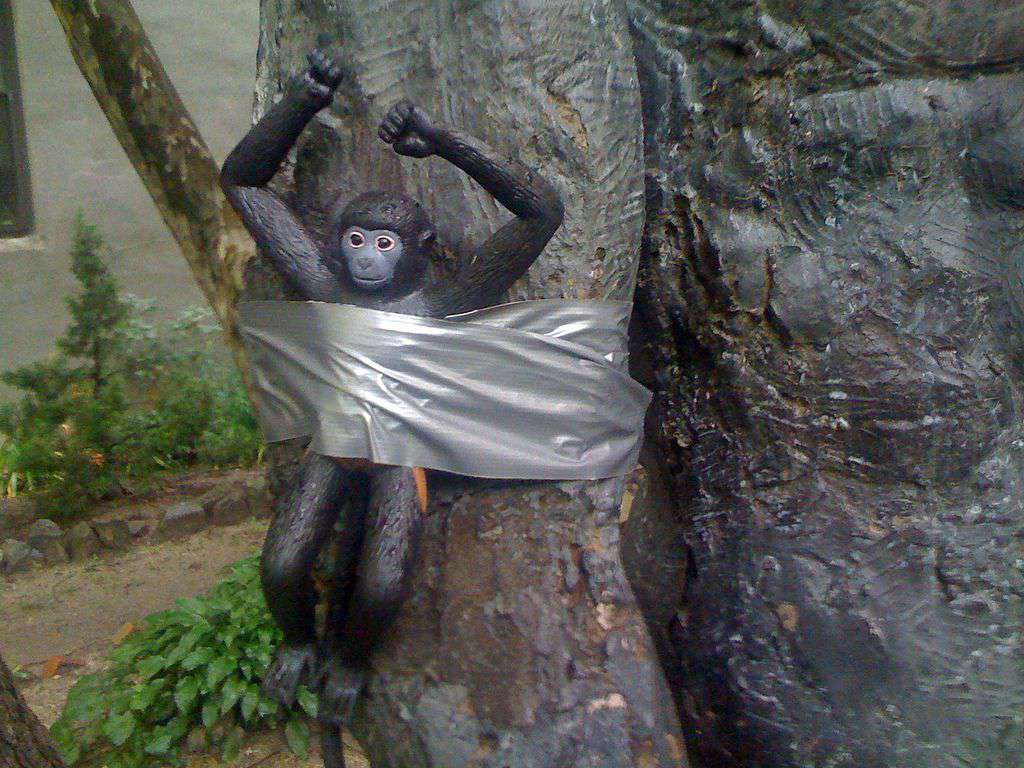 把大猩猩绑在树上