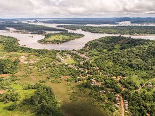 巴西亚马逊雨林