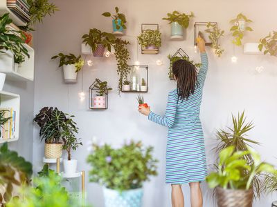 年轻女子达到盆栽植物挂在墙上