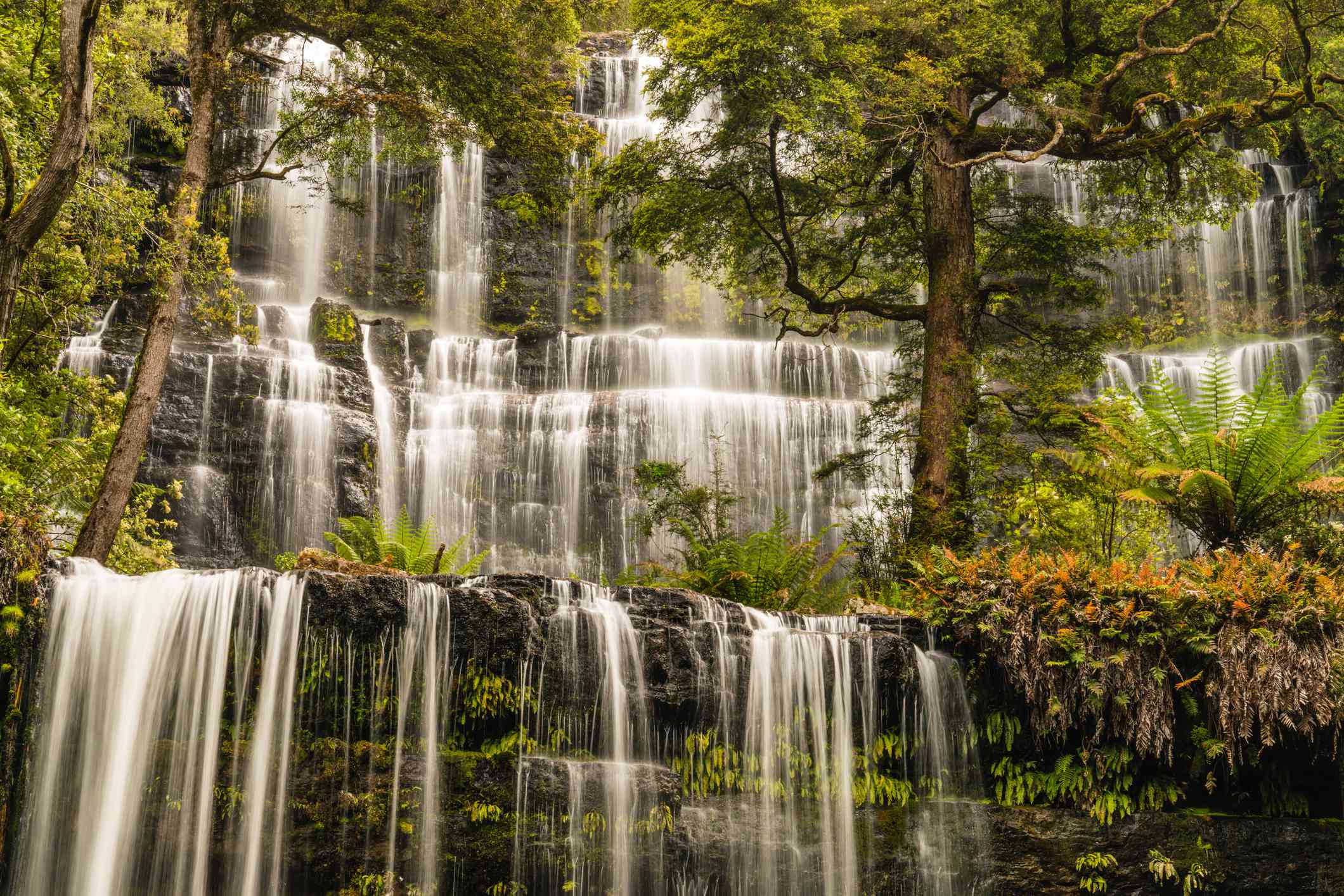 塔斯马尼亚的罗素瀑布，郁郁葱葱的绿色植物和瀑布