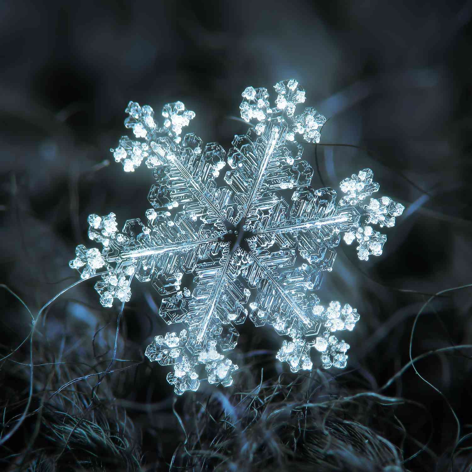 宏雪花