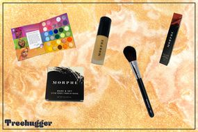 Morphe彩妆产品。眼影板，固定粉，遮瑕膏和刷子。
