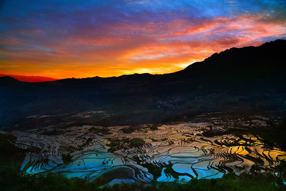 五彩缤纷的日出映照在中国的稻田里。
