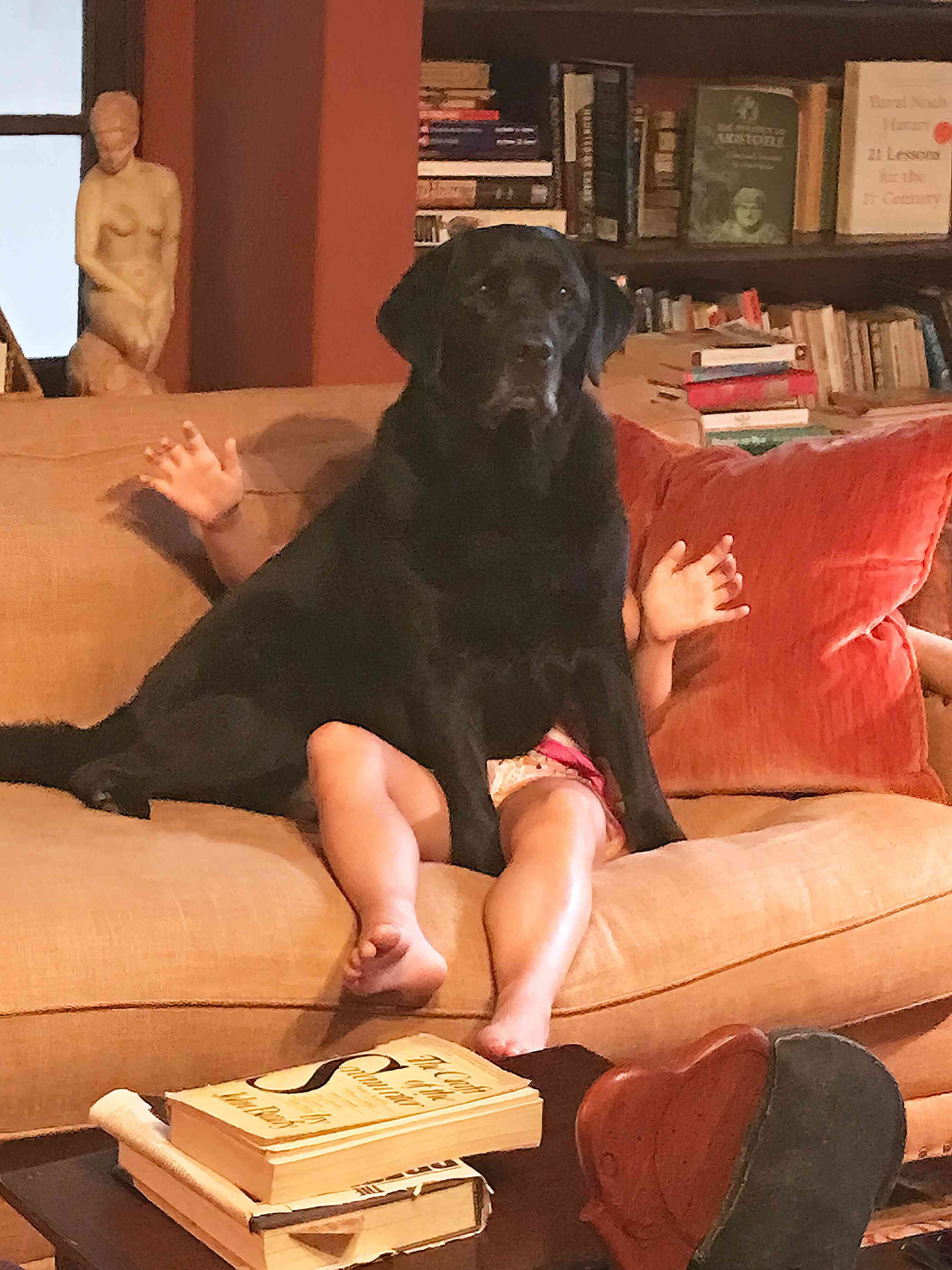 狗坐在人身上
