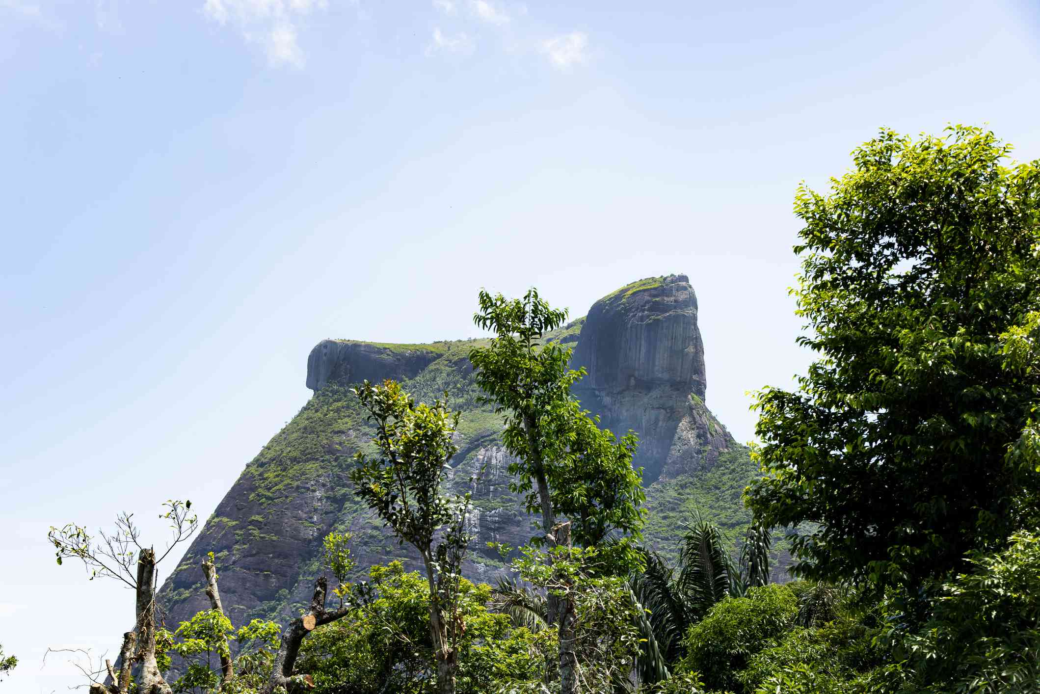 Pedra da Gávea，这是一座石山，山顶上似乎有一张人脸，前景中有高大的绿树，背景中有蓝天
