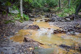 一条流经宾夕法尼亚州阿巴拉契亚山脉的小溪受到了煤矿污染的影响。