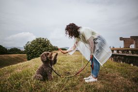 一个女人带着一只贵宾犬站在草地上，背对着天空