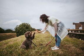 一个女人带着一只贵宾犬站在草地上，背对着天空＂width=