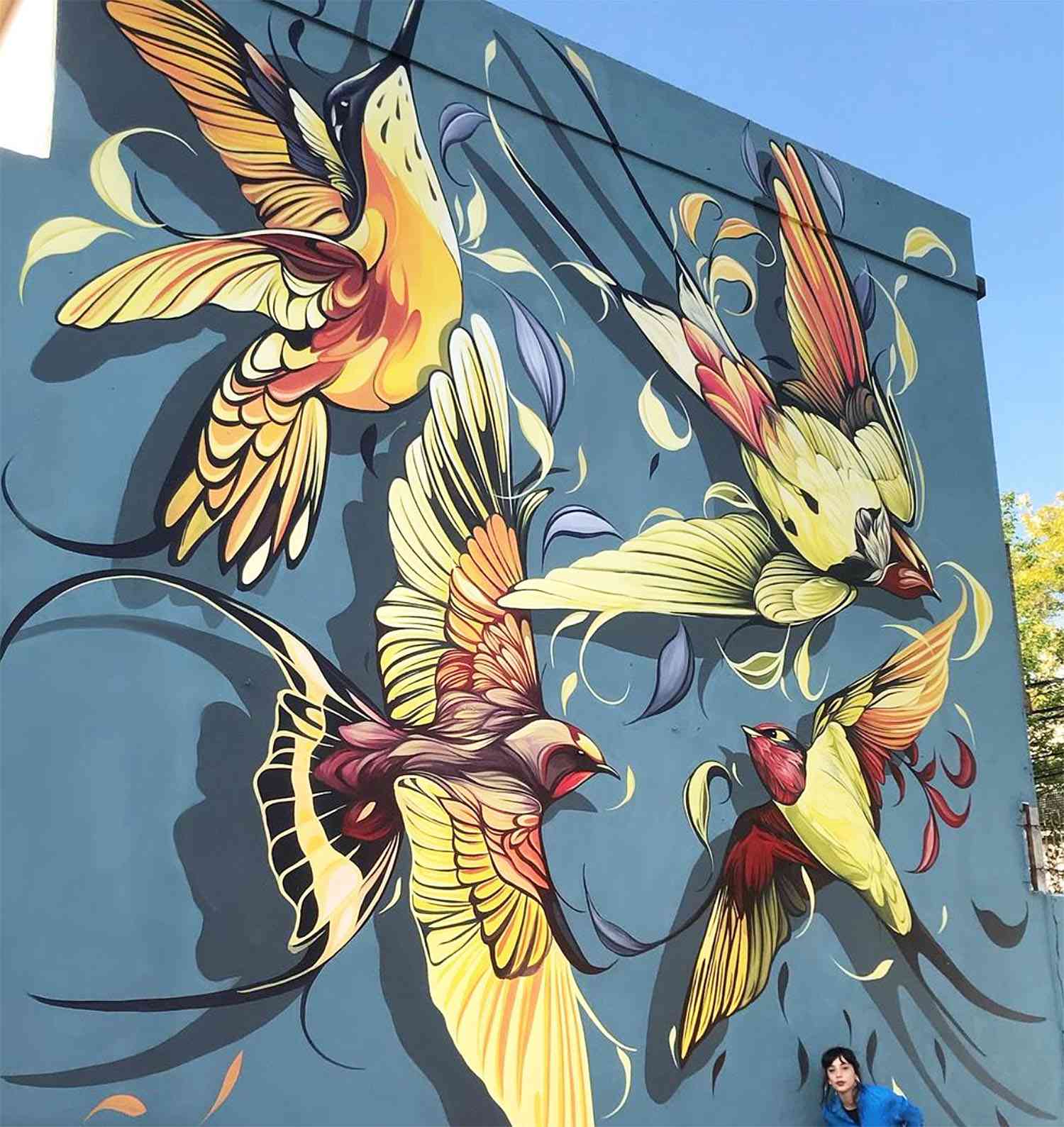 鸟花自然街头艺术壁画Fio席尔瓦