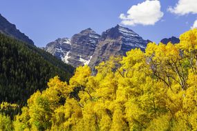 栗色贝尔斯山峰和秋天颜色的亚斯本树