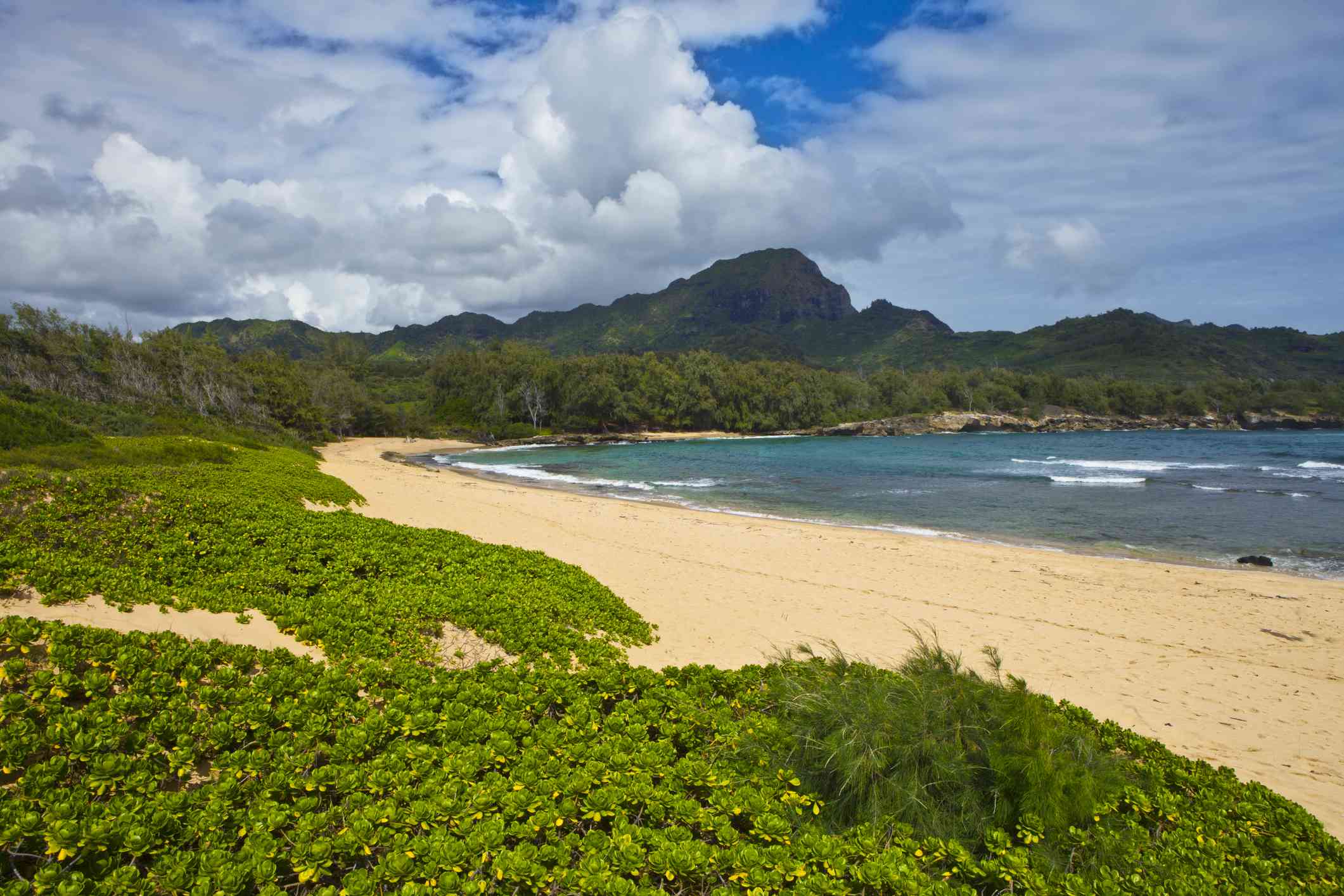 在考艾岛的Mahaulepu海滩，郁郁葱葱的绿叶，干净的沙子和蓝色的水，远处有山，蓝天和白色的蓬松的云