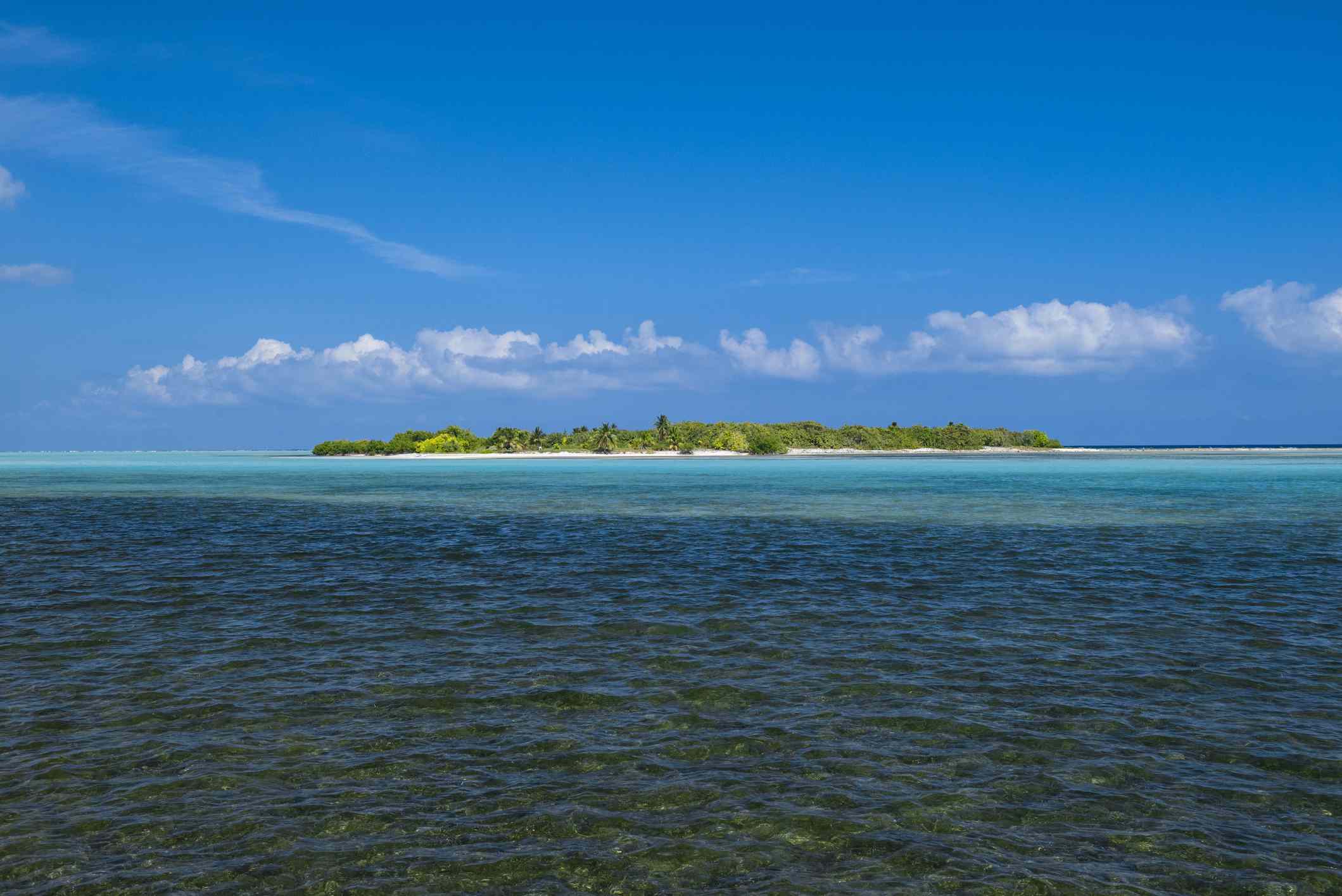 在小开曼岛上，可以看到覆盖着绿树和白色沙滩的欧文岛，蓝天白云低垂