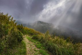在台湾阳明山国家公园的七星山上，一条宁静的徒步小径。