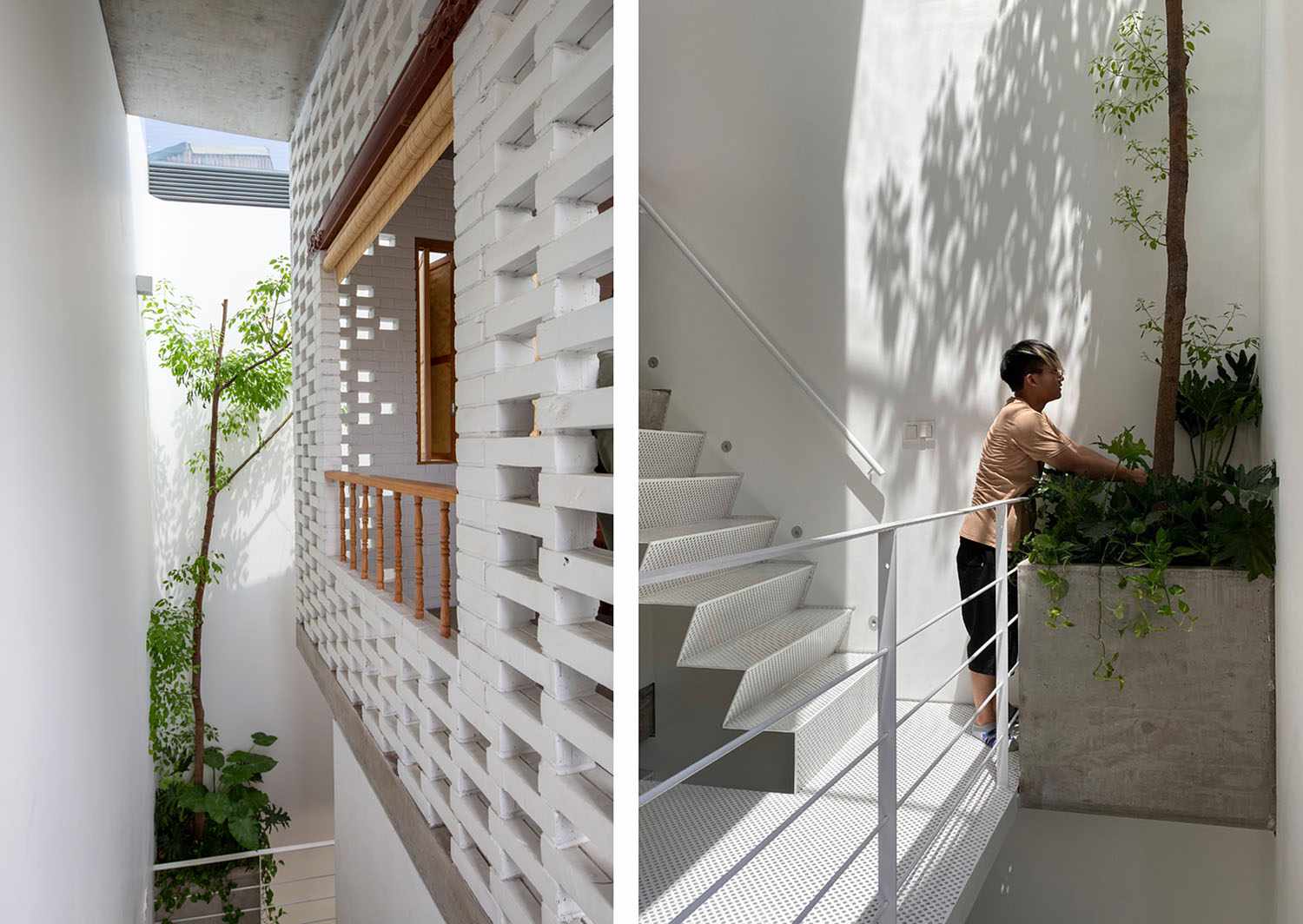 Oddo建筑师顶级砖墙和植物的房子“width=