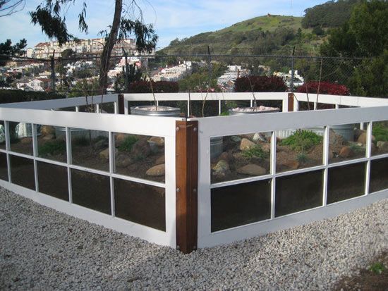 一个由回收材料制成的集装箱花园。