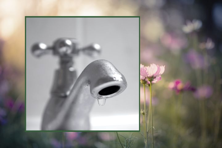 Photo of dripping faucet positioned over a photo of a meadow
