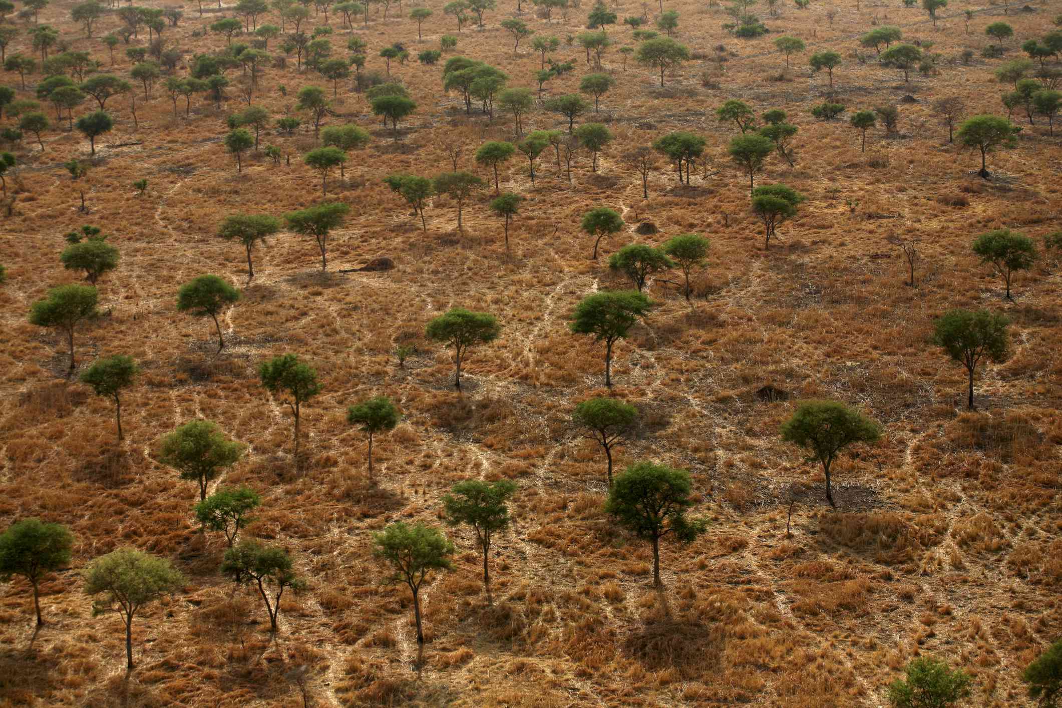 非洲中部干旱沙漠景观的鸟瞰图＂width=