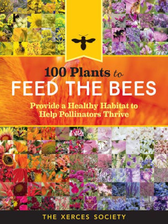 100株植物喂养蜜蜂＂width=