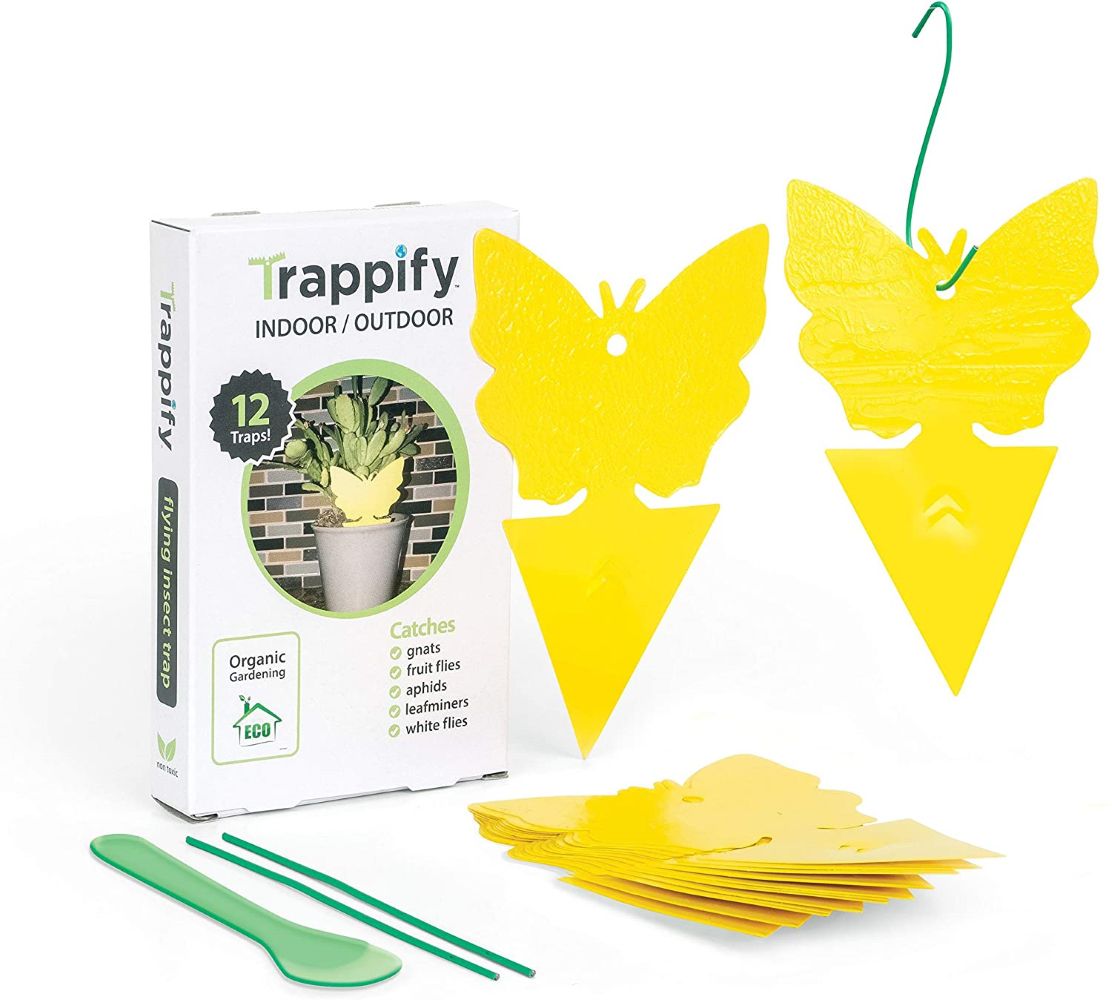 Trappify粘果蝇和蚊蚋陷阱＂width=
