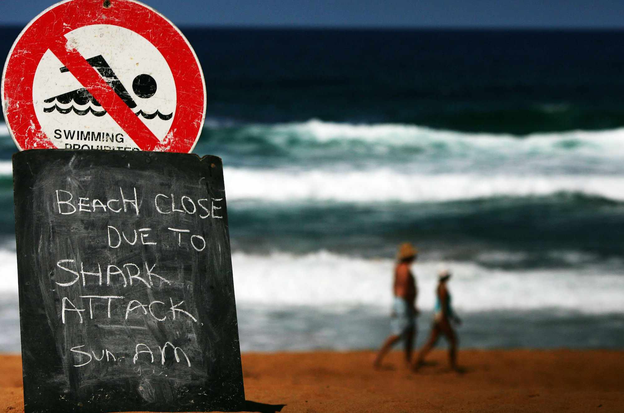 在澳大利亚鲨鱼攻击的迹象