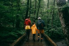 三个家庭,穿着雨衣,横在森林里的一座桥梁。