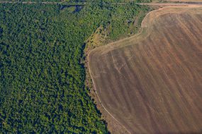 亚马逊地区的森林砍伐＂width=