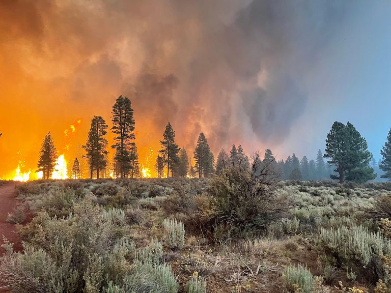 在美国农业部森林服务局提供的讲义中，盗版火灾于2021年7月12日在俄勒冈州布莱市燃烧。“class=
