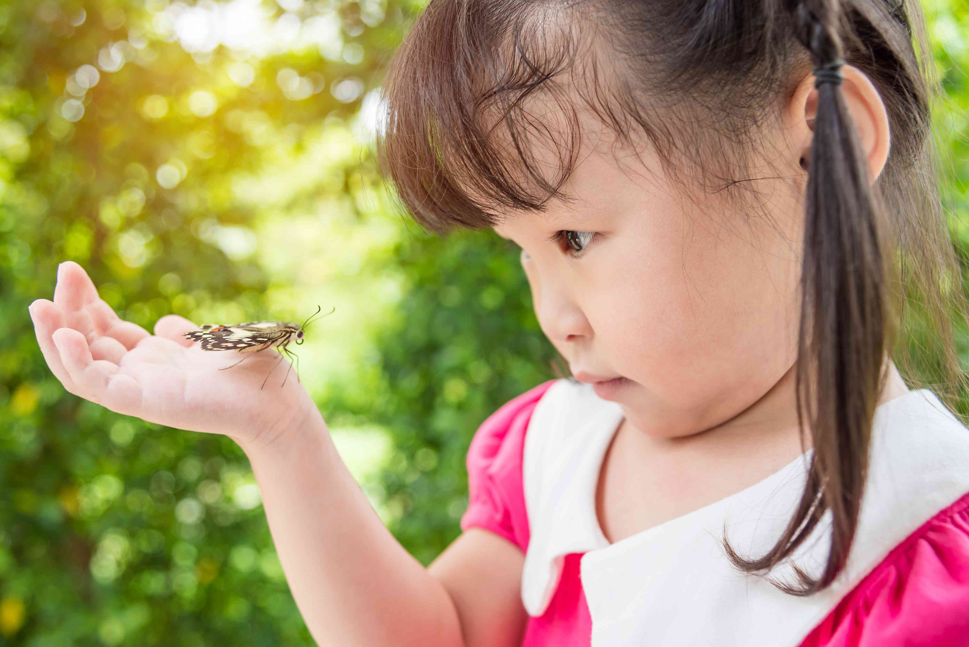 在公园里，女孩看着手上的蝴蝶