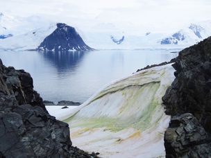 南极半岛绿雪的景色。
